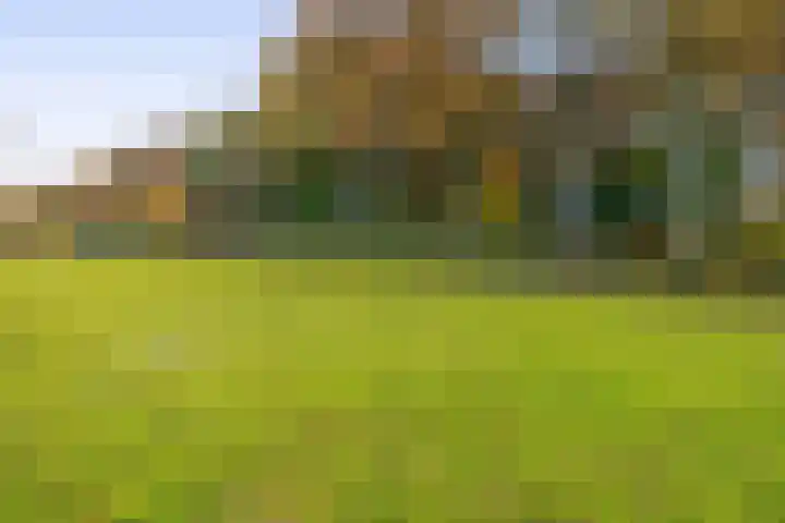 Dikkesteenweg 30 Havelte thumbnail 63
