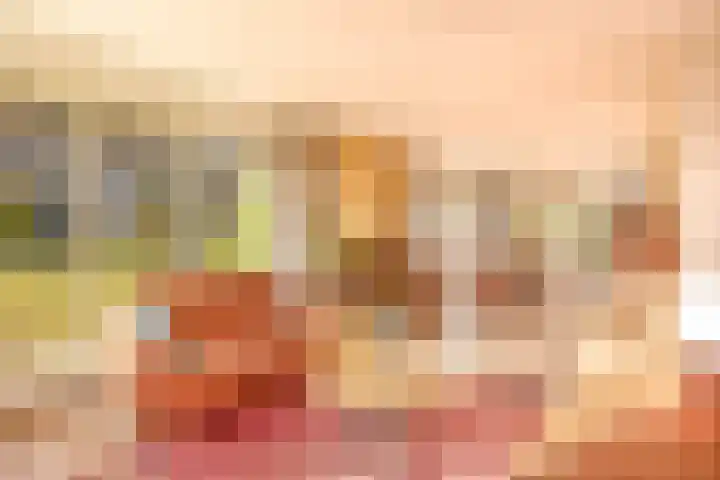 Dikkesteenweg 30 Havelte thumbnail 8