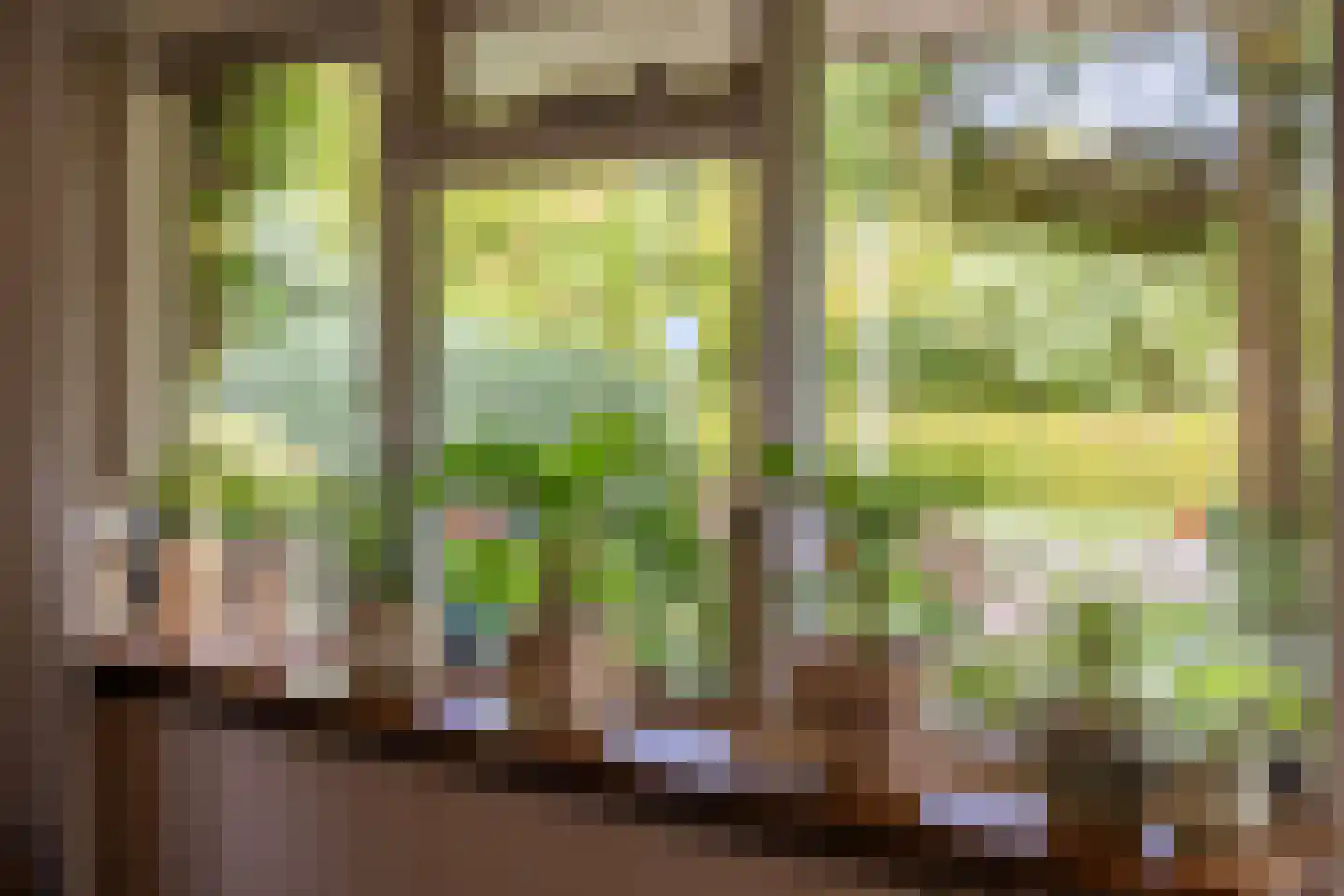 Dikkesteenweg 4 Holten thumbnail 14