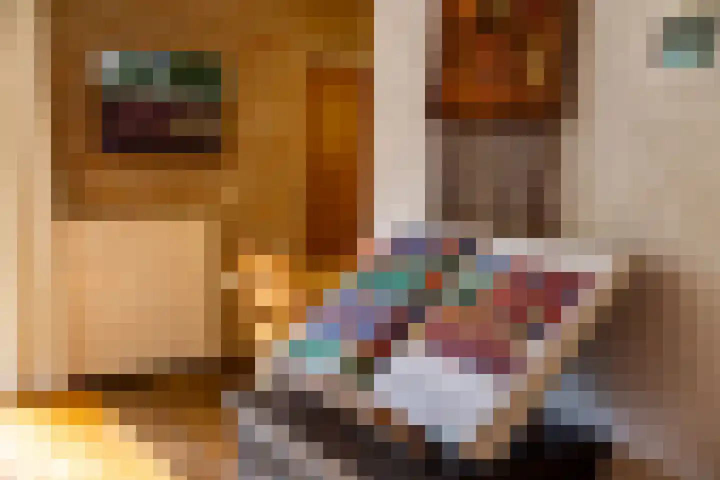 Dikkesteenweg 4 Holten thumbnail 15