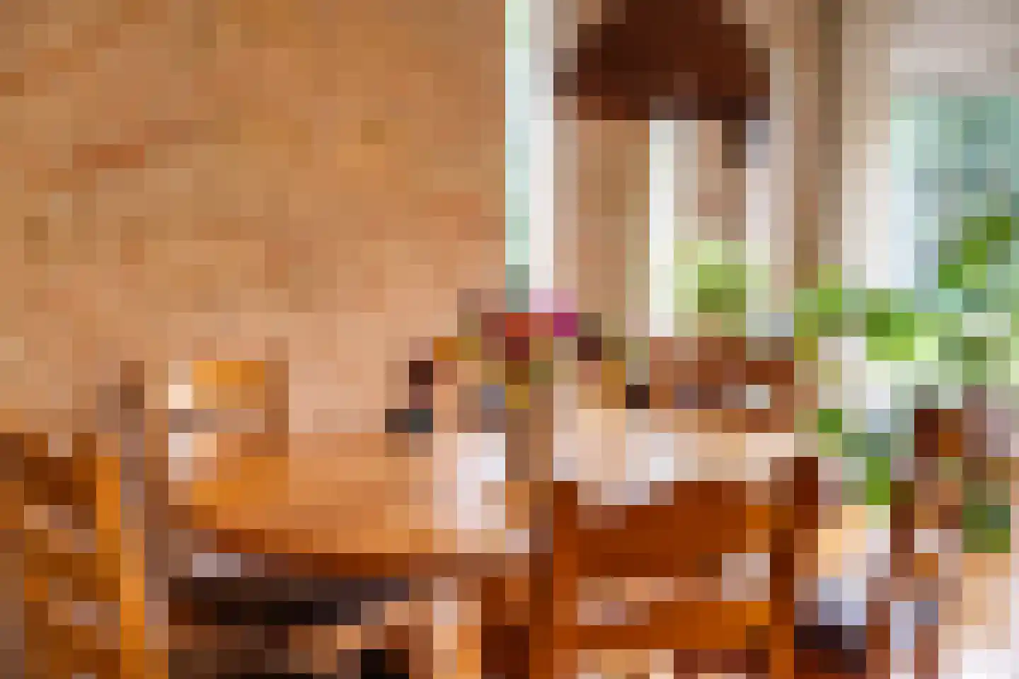 Dikkesteenweg 4 Holten thumbnail 16