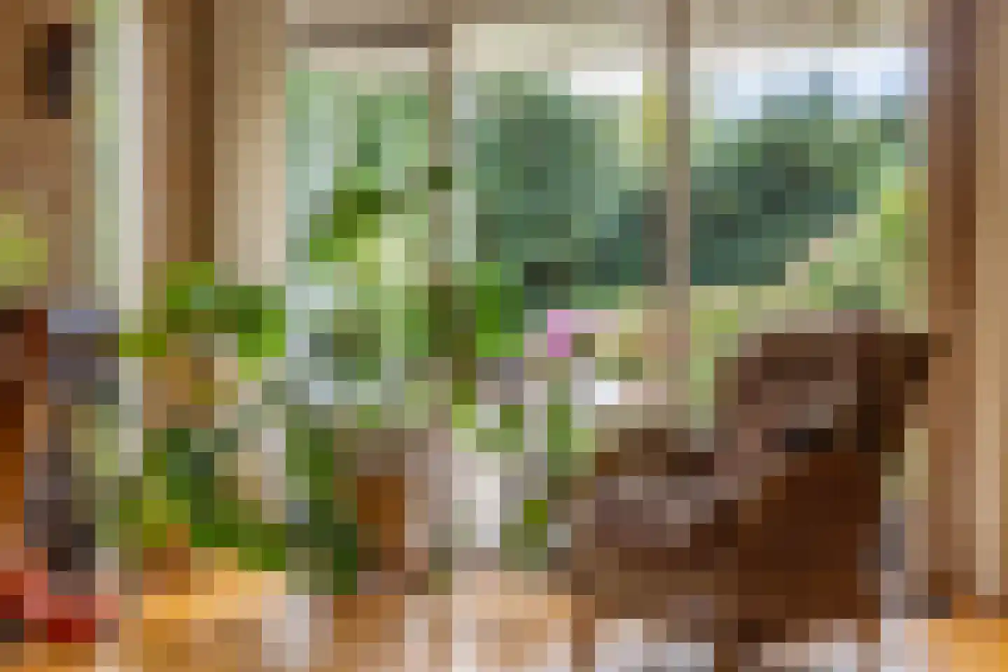 Dikkesteenweg 4 Holten thumbnail 17