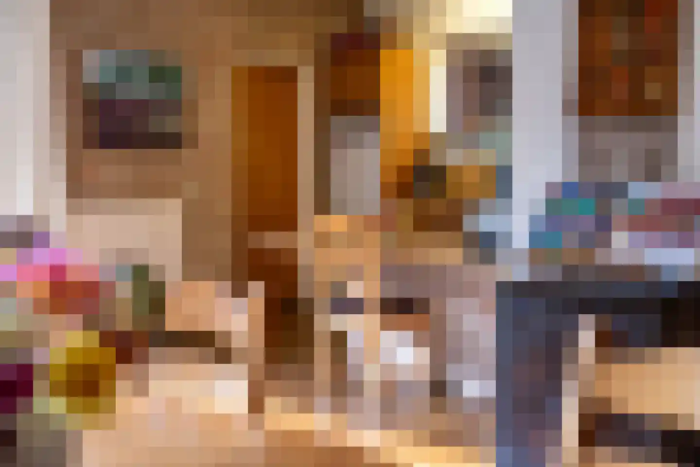 Dikkesteenweg 4 Holten thumbnail 19