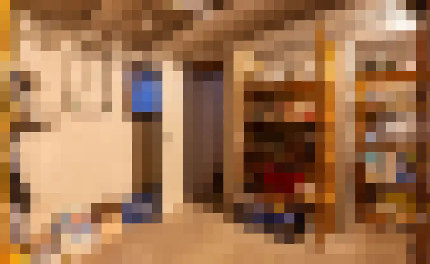 Dikkesteenweg 4 Holten thumbnail 25