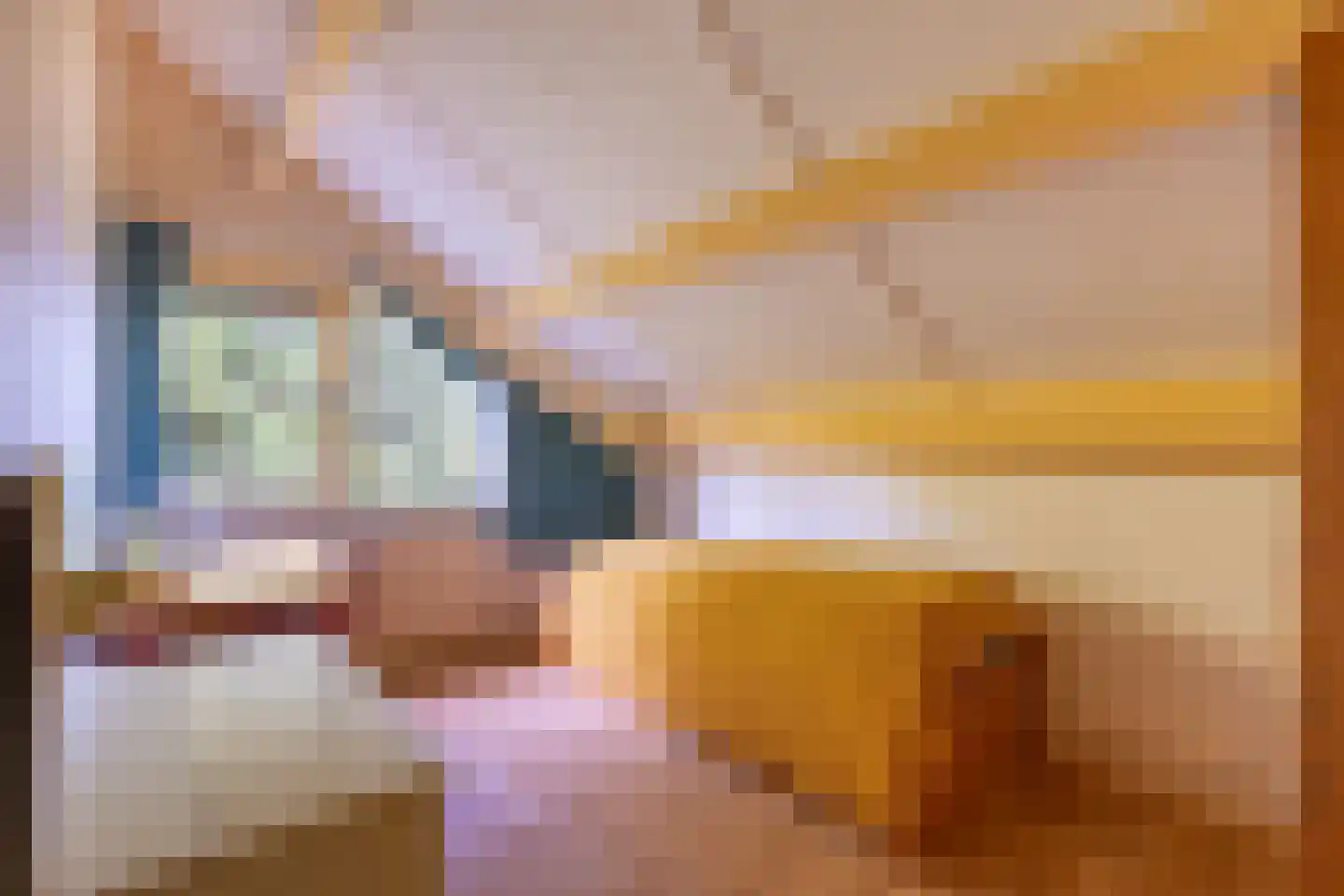 Dikkesteenweg 4 Holten thumbnail 31