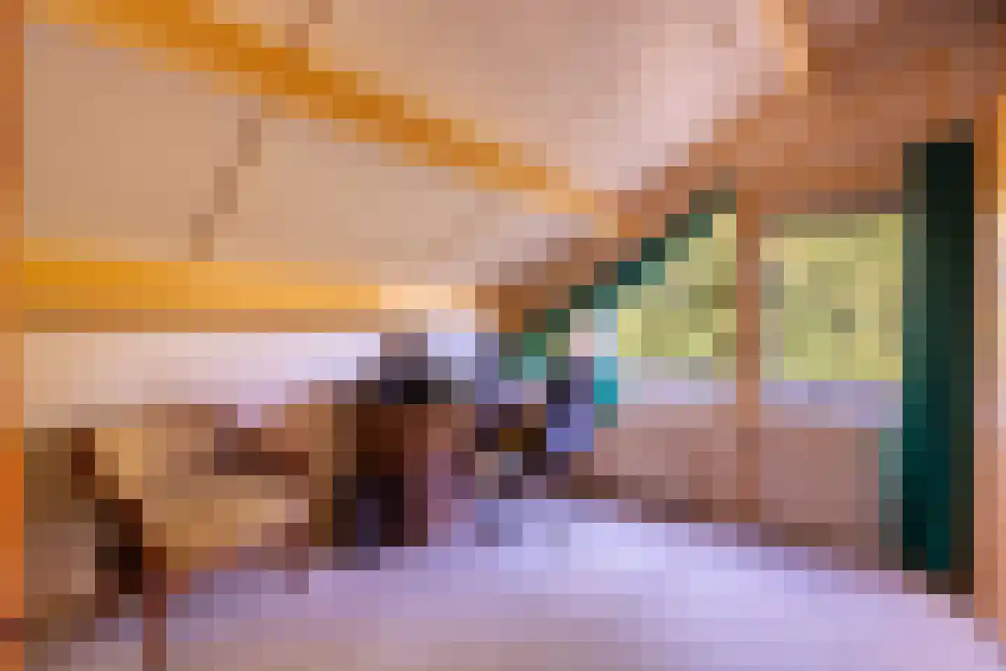 Dikkesteenweg 4 Holten thumbnail 32
