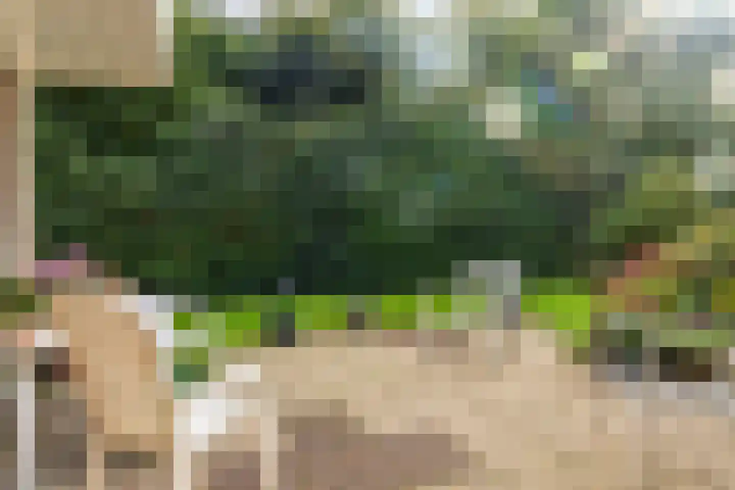 Dikkesteenweg 4 Holten thumbnail 35