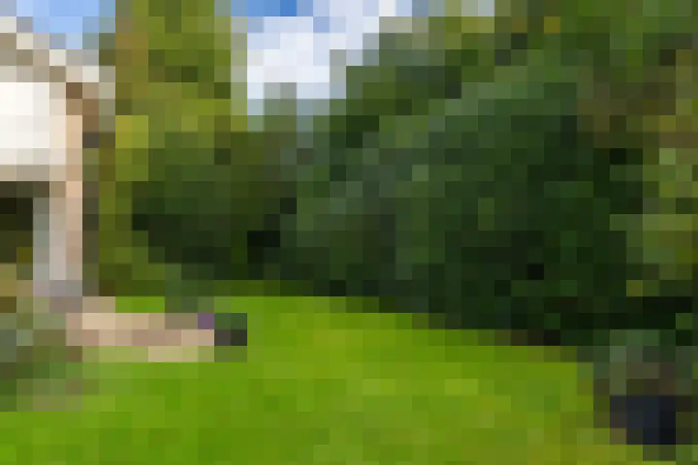 Dikkesteenweg 4 Holten thumbnail 36