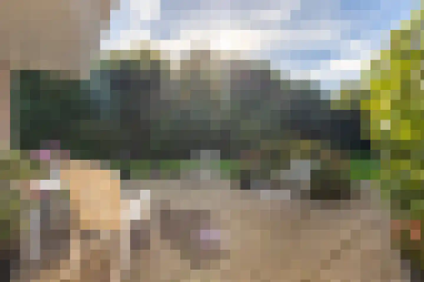 Dikkesteenweg 4 Holten thumbnail 37