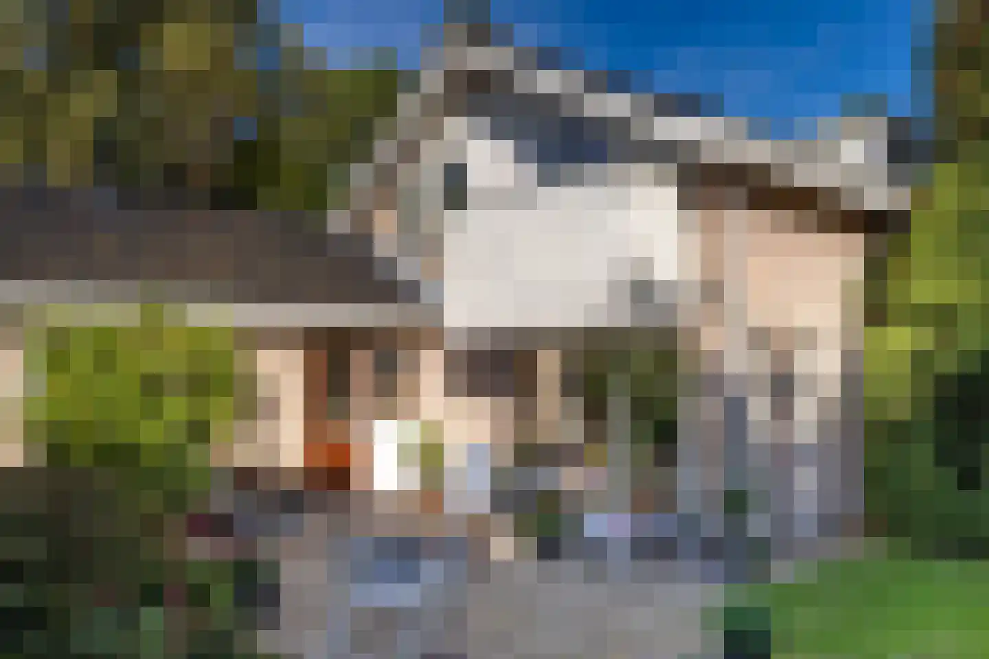 Dikkesteenweg 4 Holten thumbnail 39