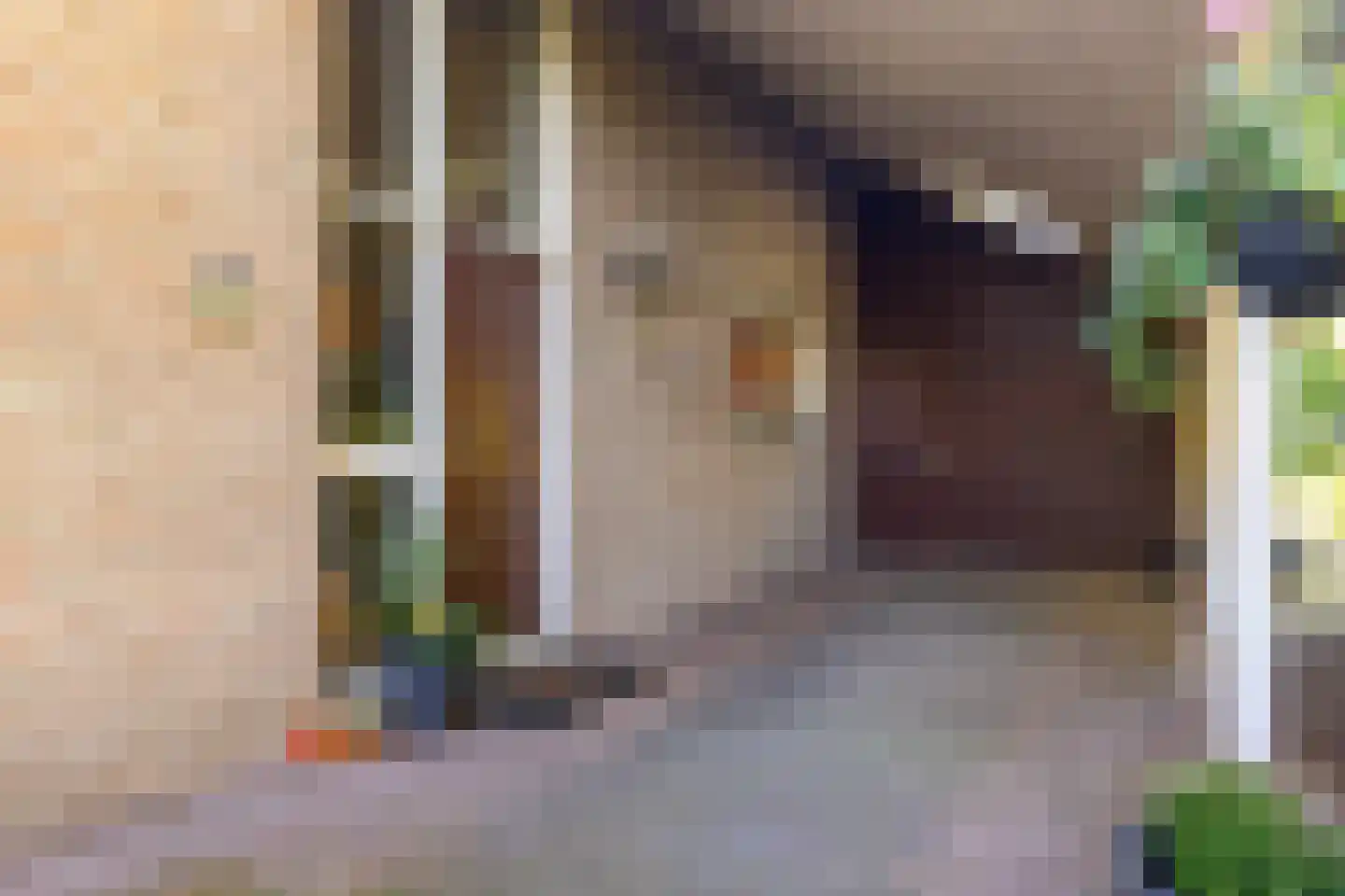 Dikkesteenweg 4 Holten thumbnail 4
