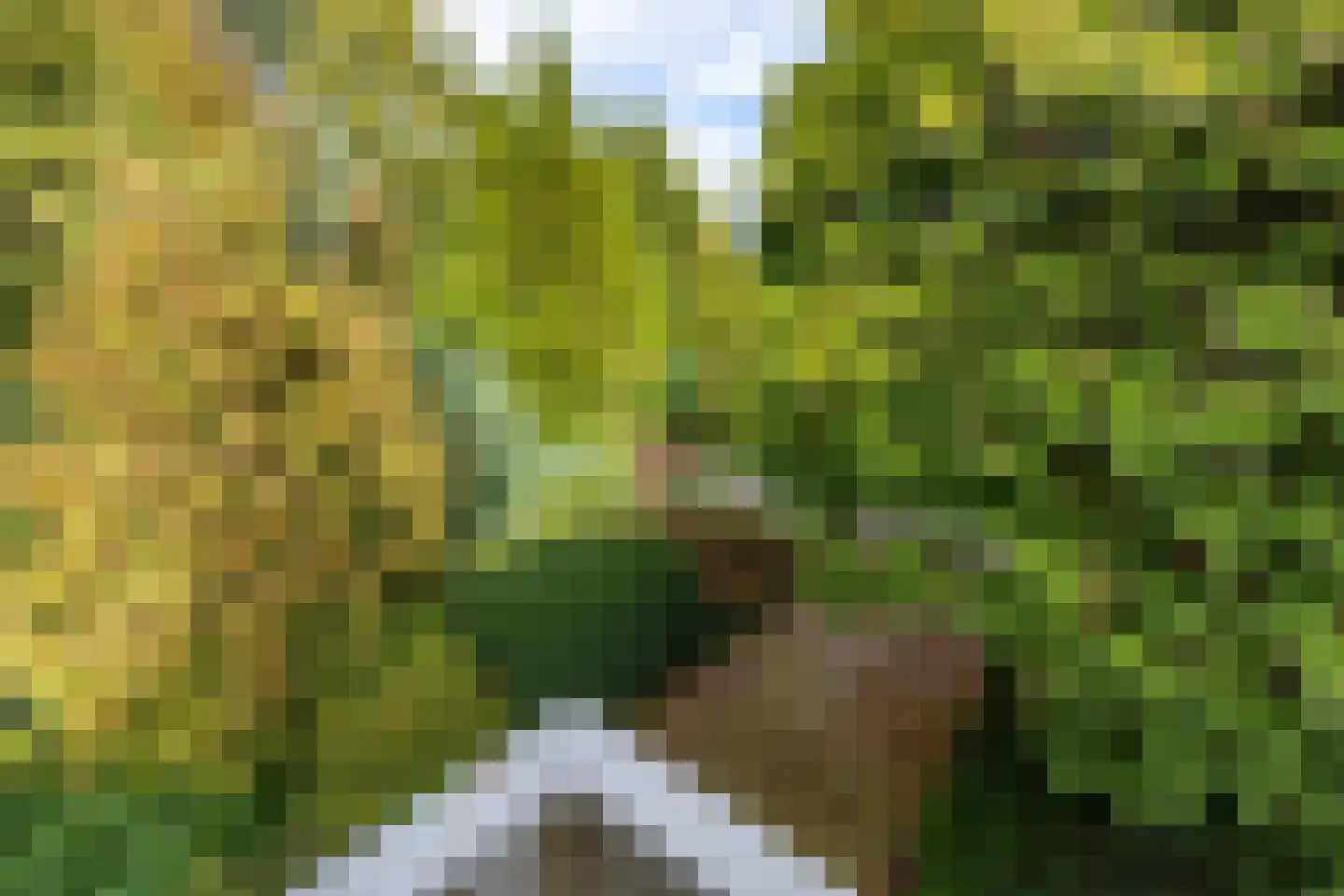 Dikkesteenweg 4 Holten thumbnail 41