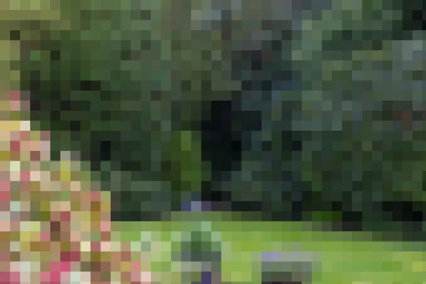Dikkesteenweg 4 Holten thumbnail 42