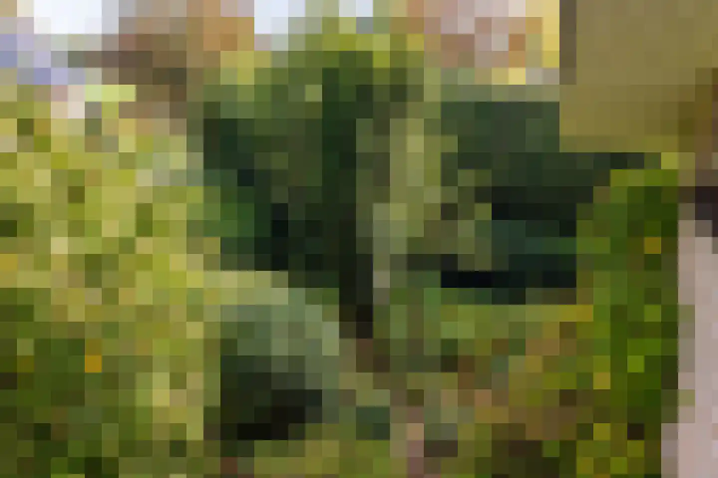 Dikkesteenweg 4 Holten thumbnail 45