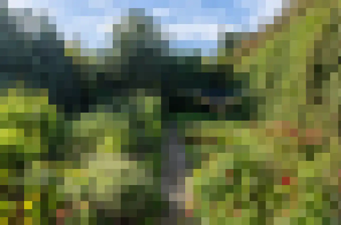 Dikkesteenweg 4 Holten thumbnail 46