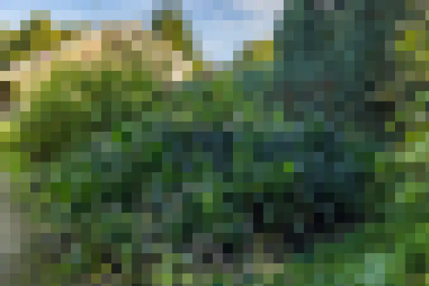 Dikkesteenweg 4 Holten thumbnail 47