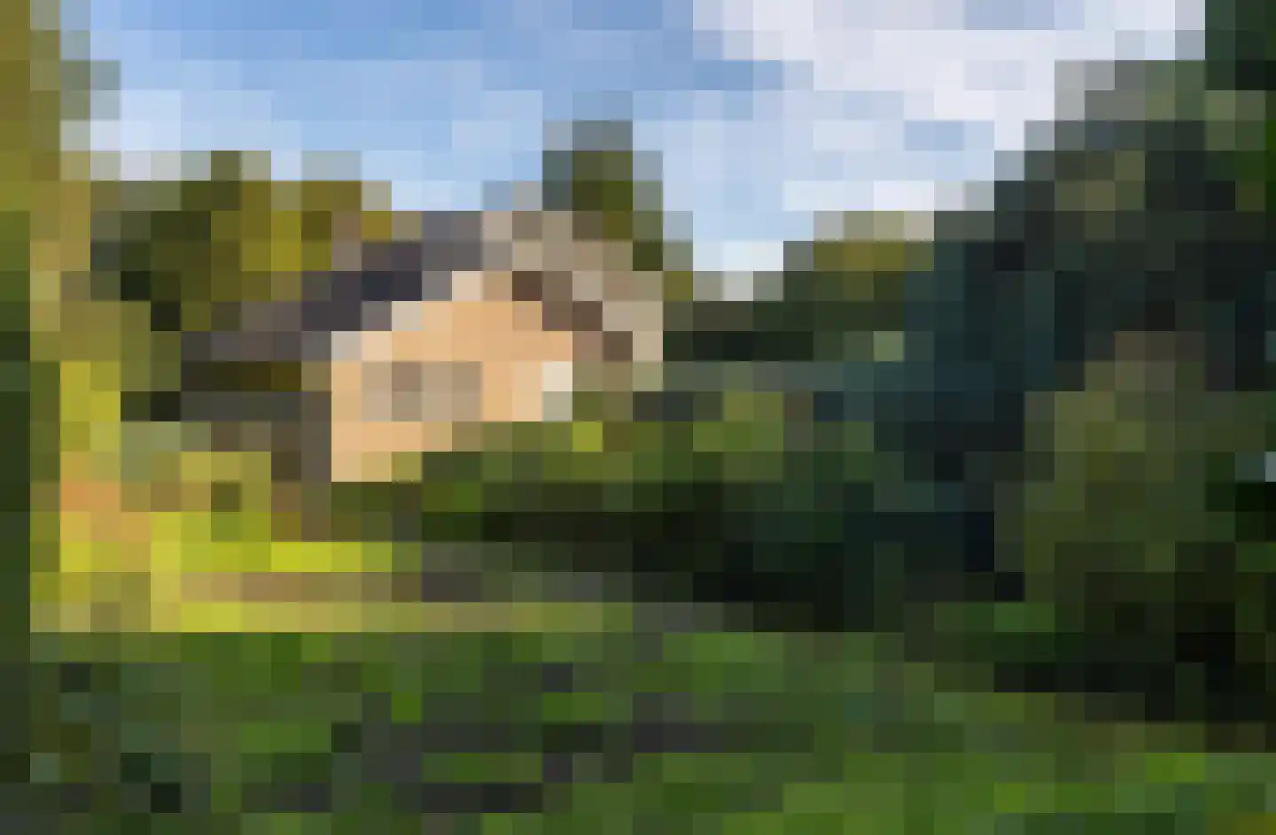 Dikkesteenweg 4 Holten thumbnail 48