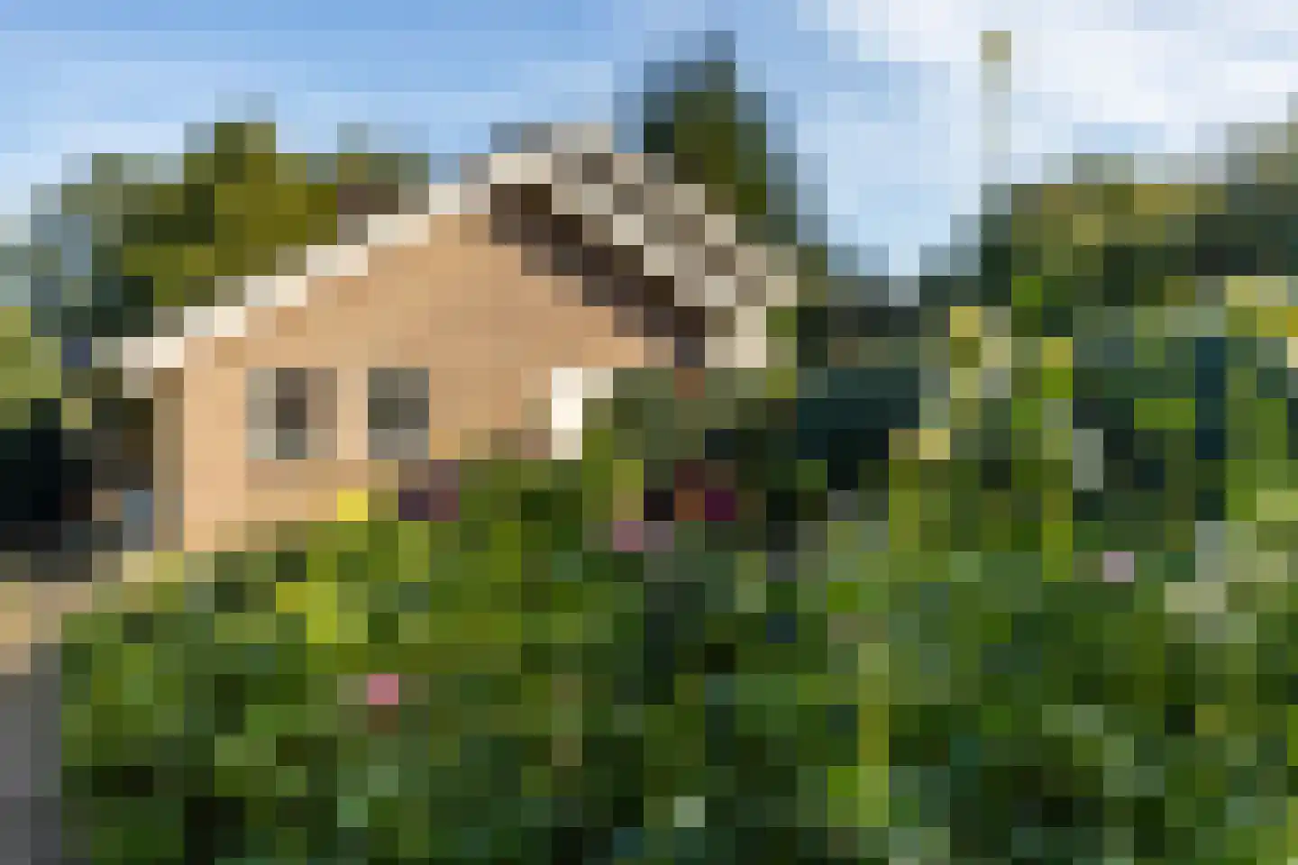 Dikkesteenweg 4 Holten thumbnail 49