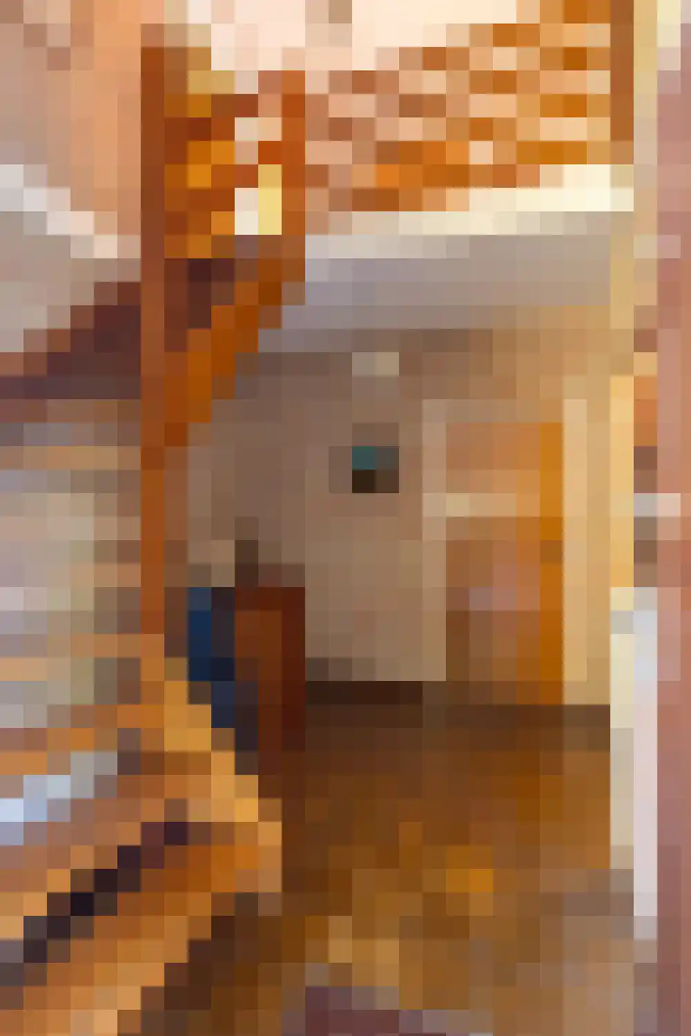 Dikkesteenweg 4 Holten thumbnail 5
