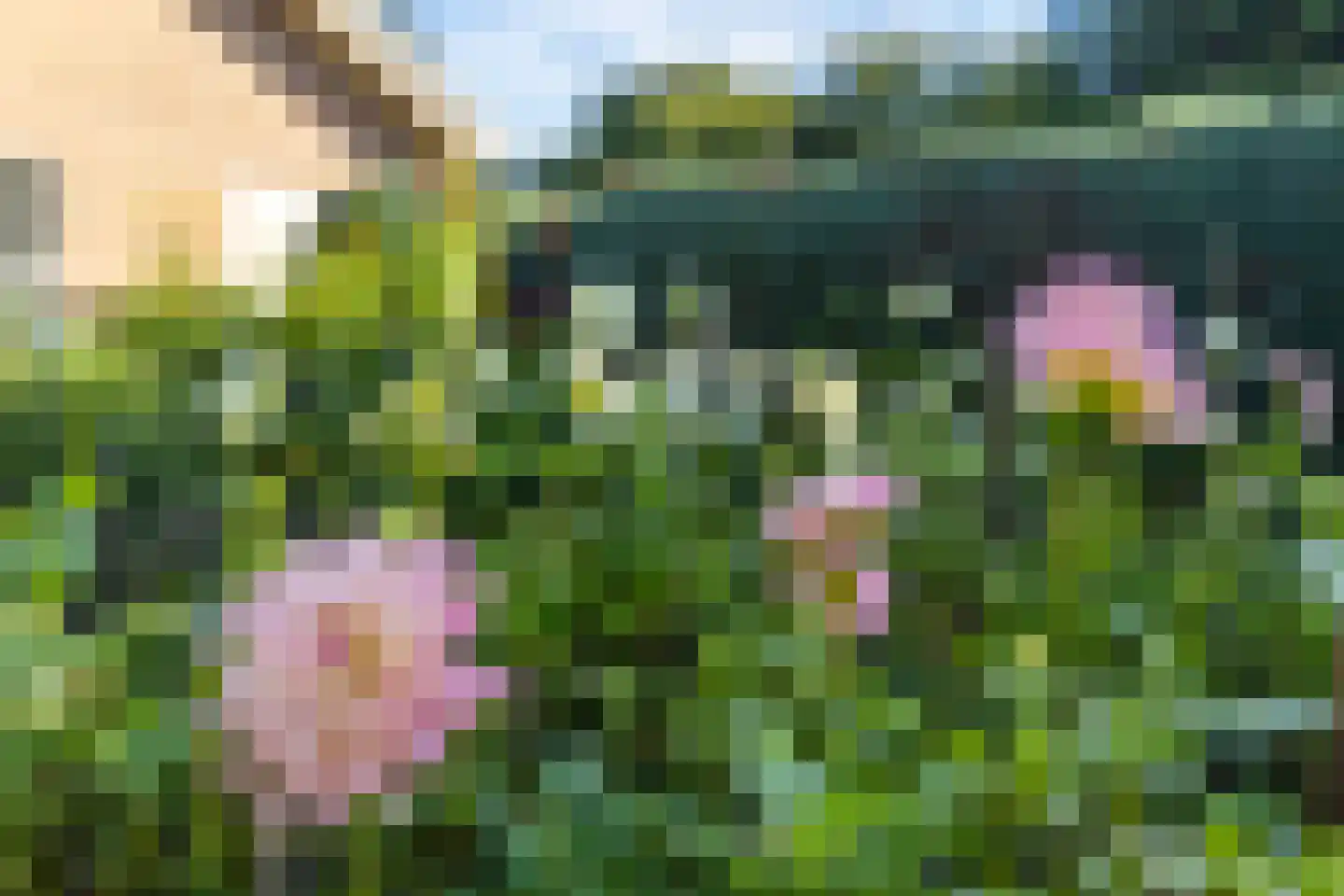 Dikkesteenweg 4 Holten thumbnail 50