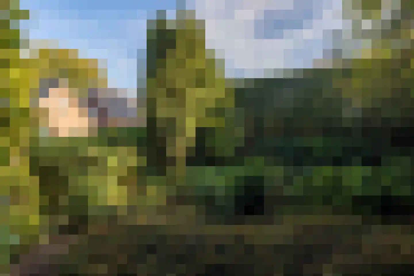 Dikkesteenweg 4 Holten thumbnail 51