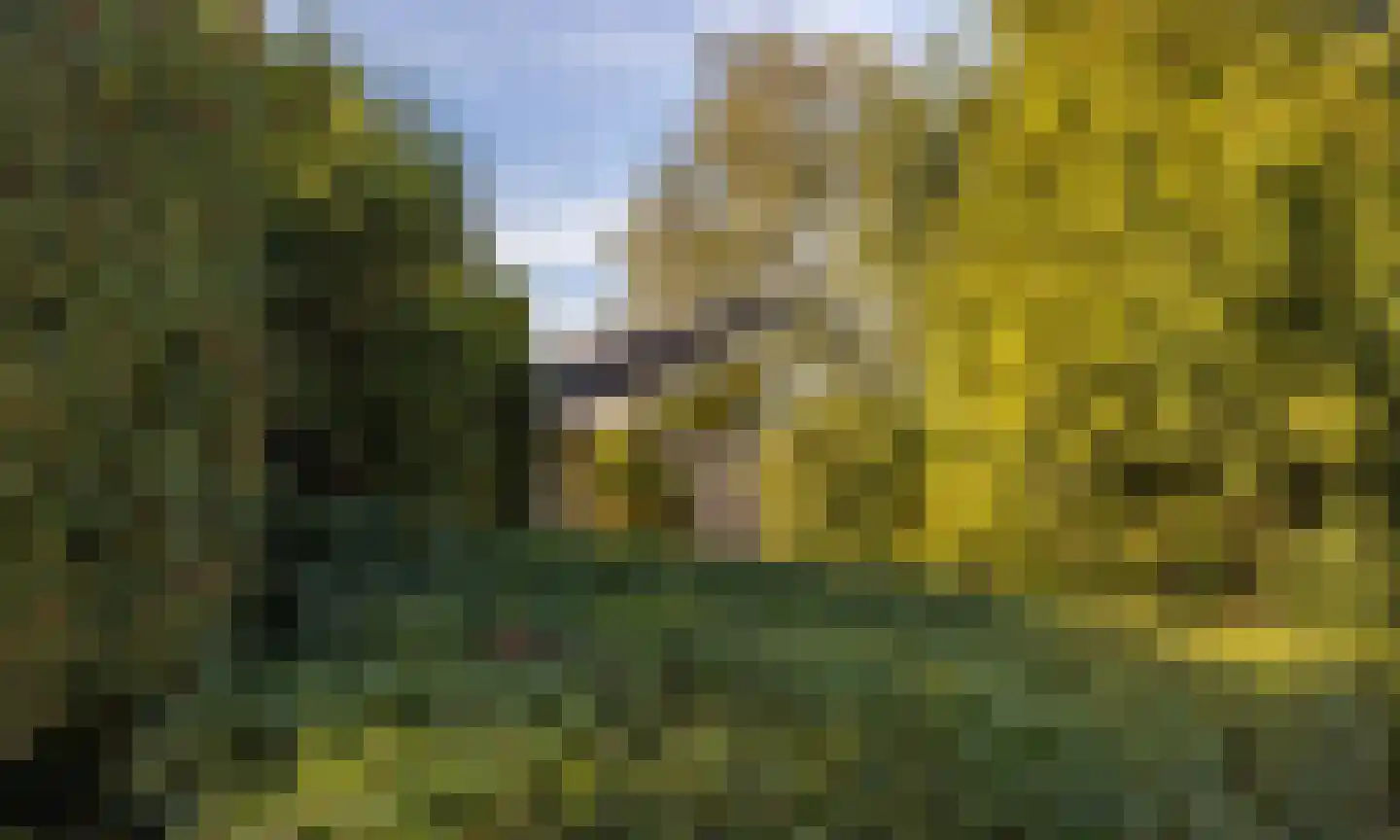 Dikkesteenweg 4 Holten thumbnail 52