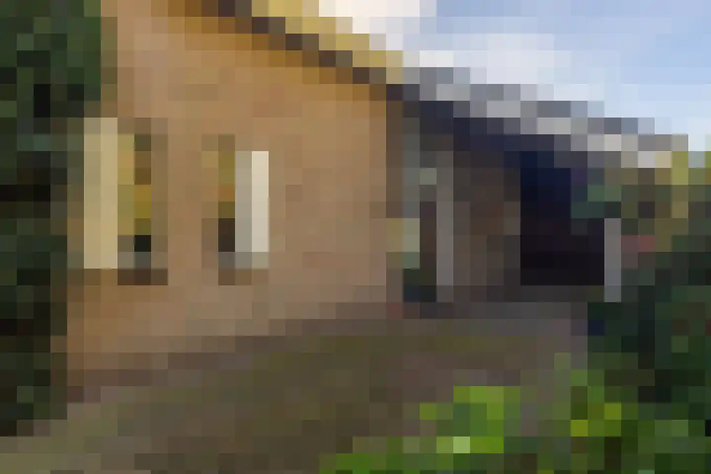 Dikkesteenweg 4 Holten thumbnail 54