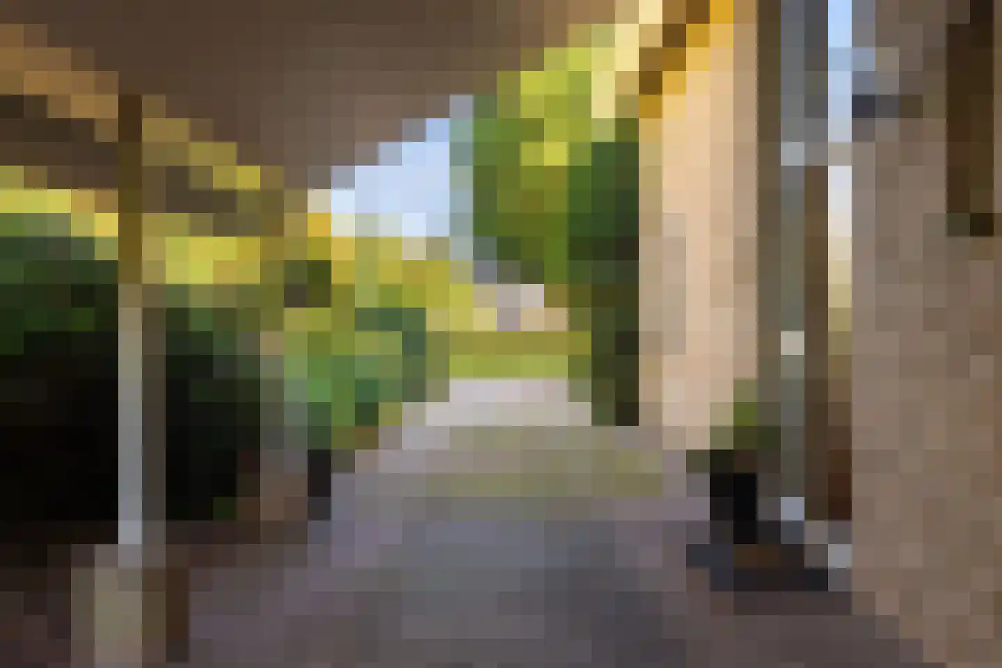 Dikkesteenweg 4 Holten thumbnail 55