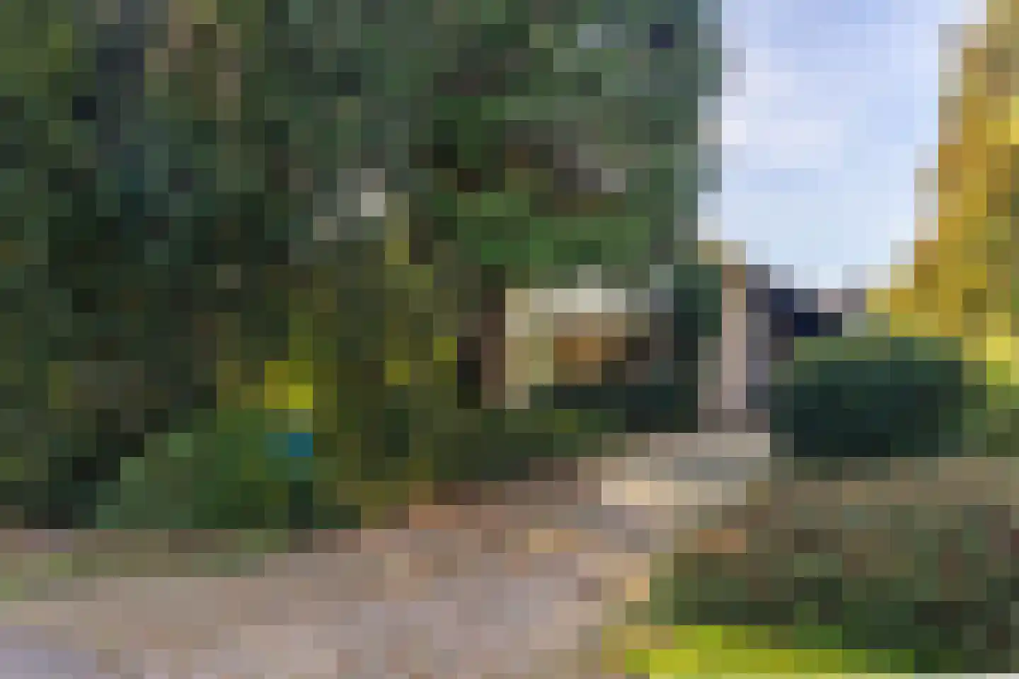 Dikkesteenweg 4 Holten thumbnail 56