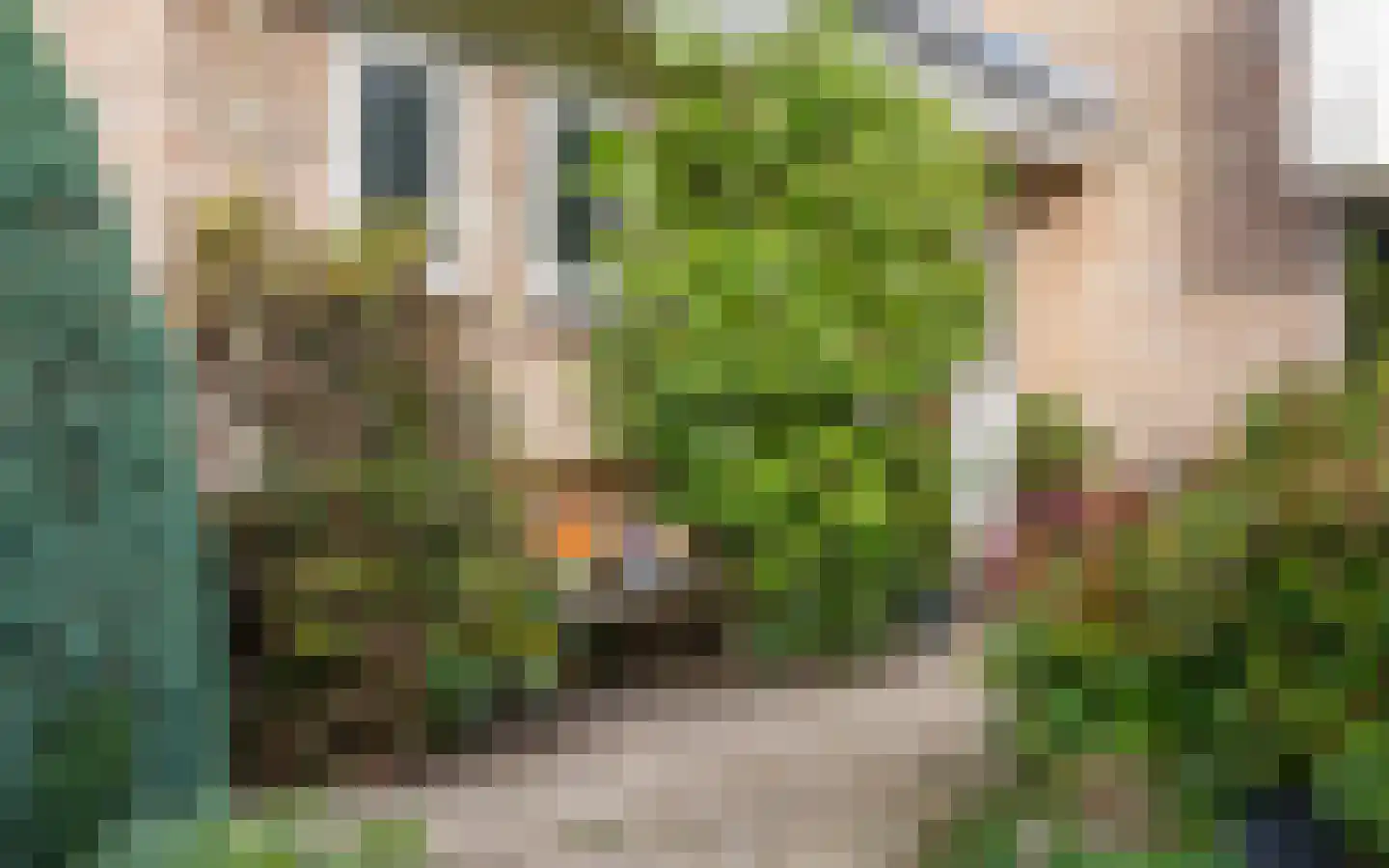 Dikkesteenweg 4 Holten thumbnail 57