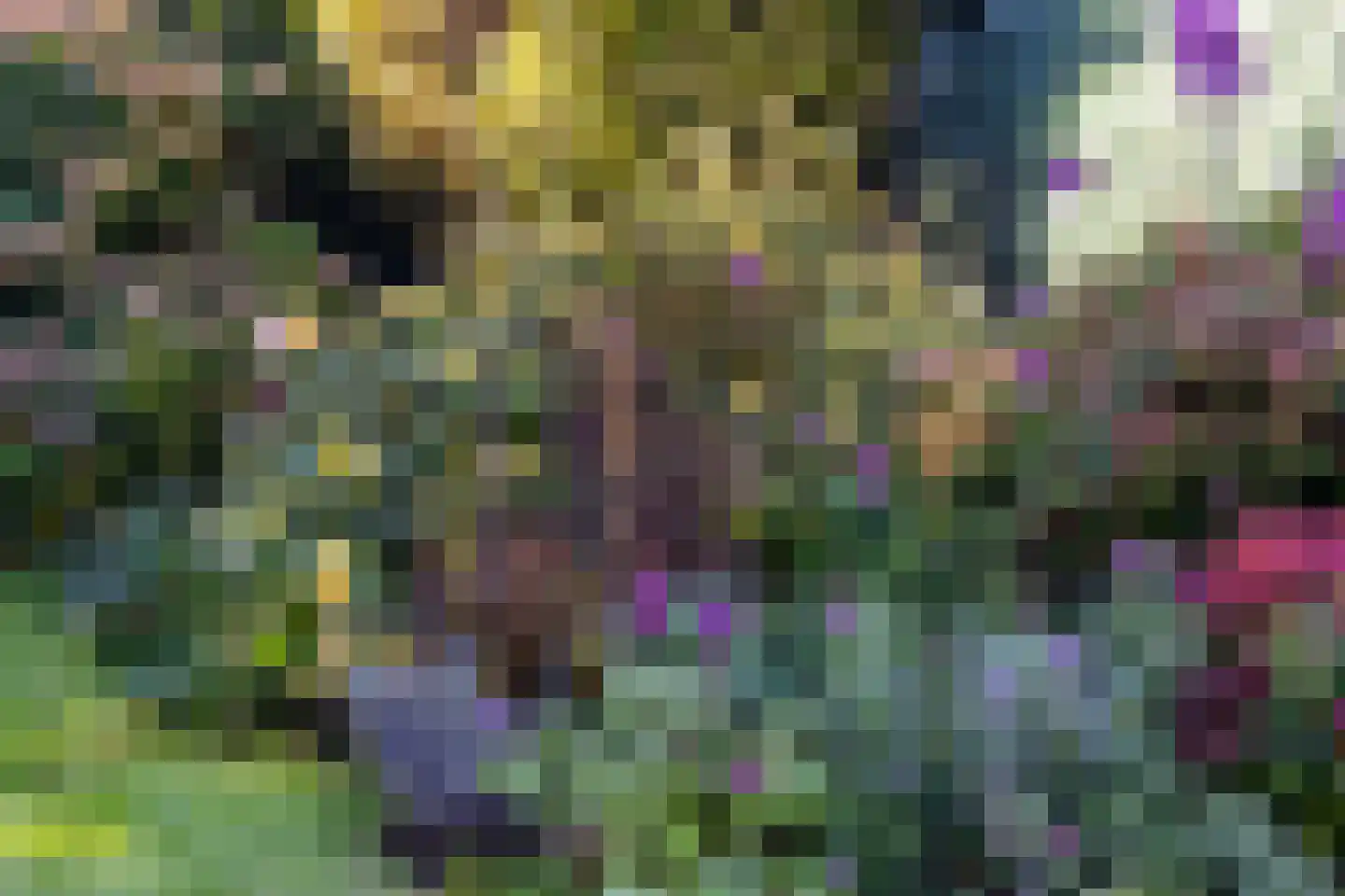 Dikkesteenweg 4 Holten thumbnail 58