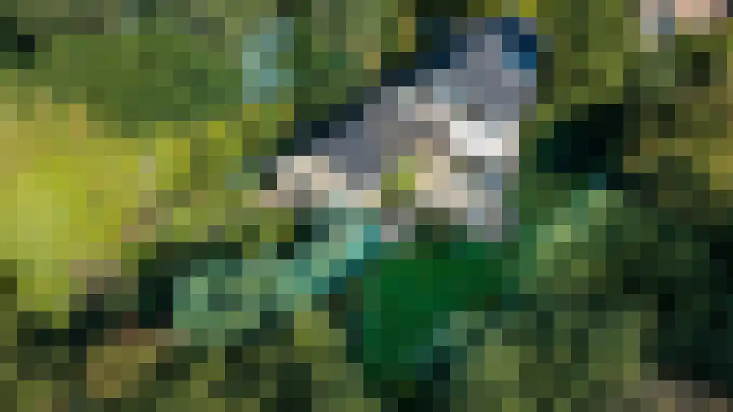 Dikkesteenweg 4 Holten thumbnail 59