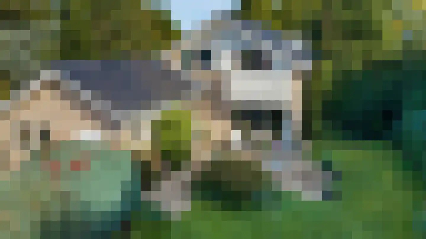 Dikkesteenweg 4 Holten thumbnail 60