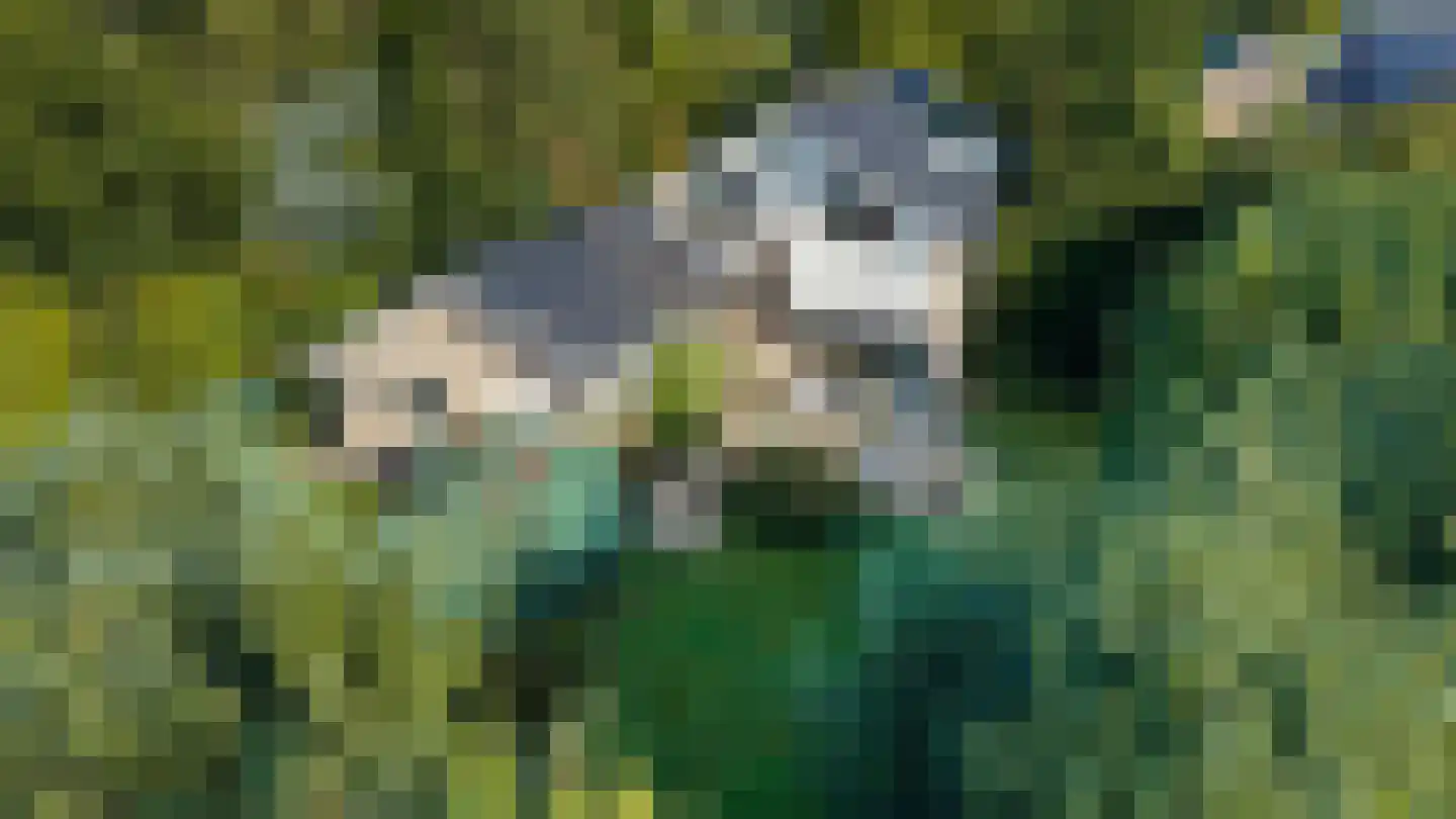Dikkesteenweg 4 Holten thumbnail 61