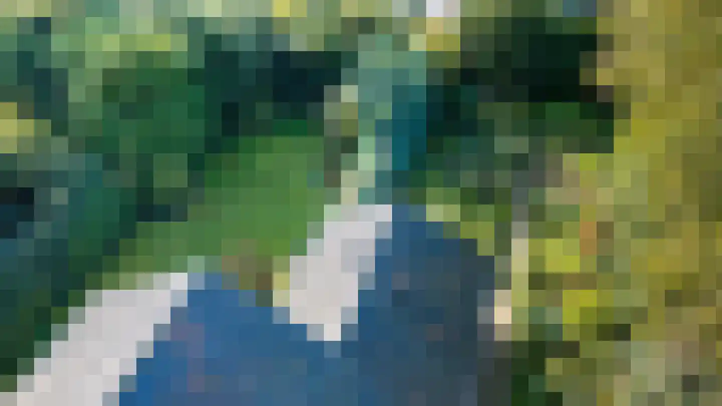 Dikkesteenweg 4 Holten thumbnail 62