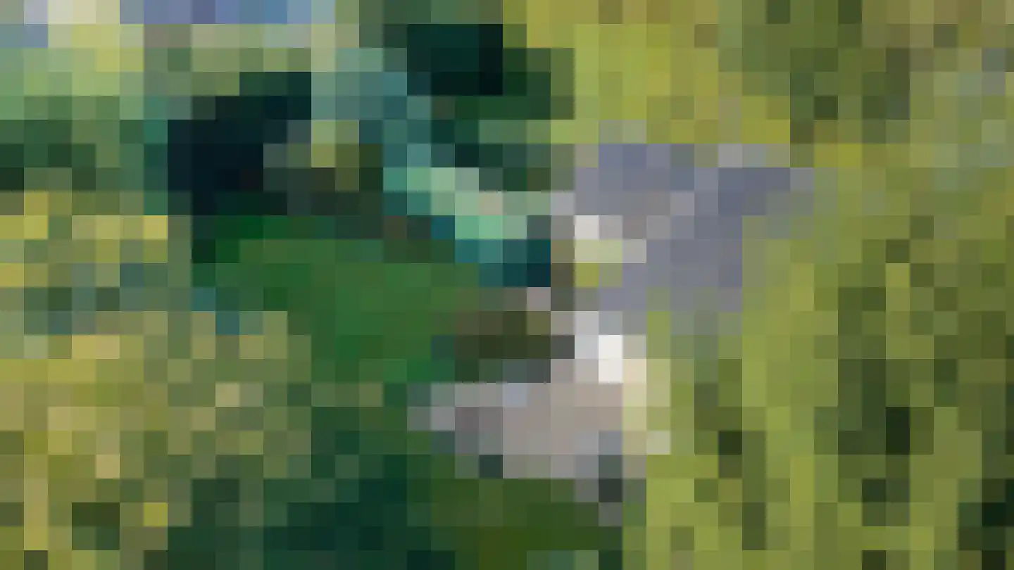 Dikkesteenweg 4 Holten thumbnail 63