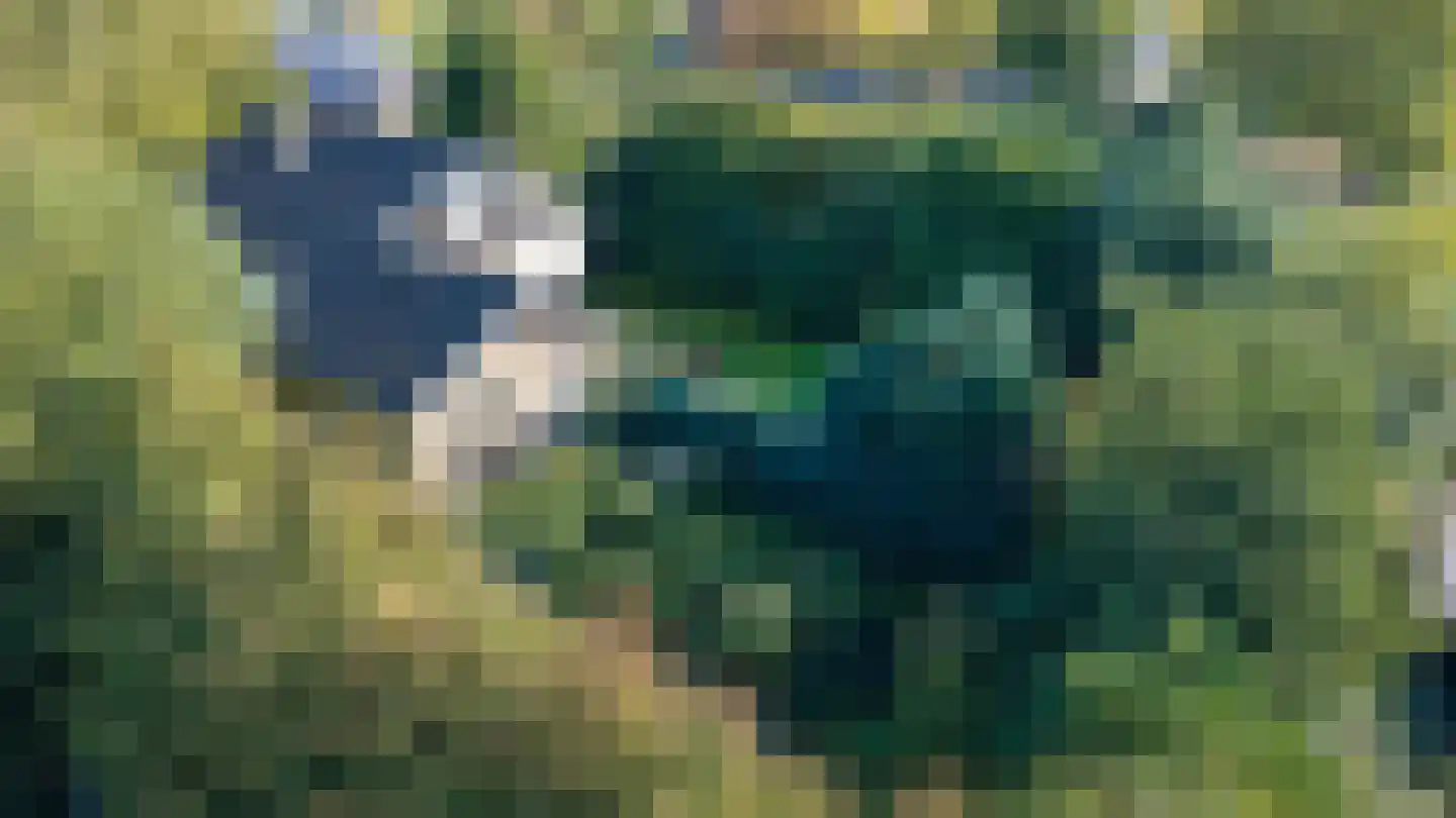 Dikkesteenweg 4 Holten thumbnail 64
