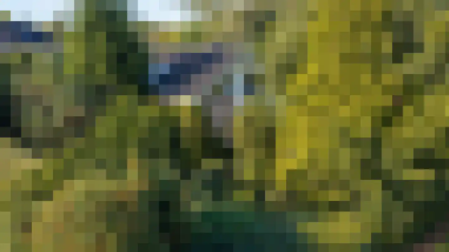 Dikkesteenweg 4 Holten thumbnail 65