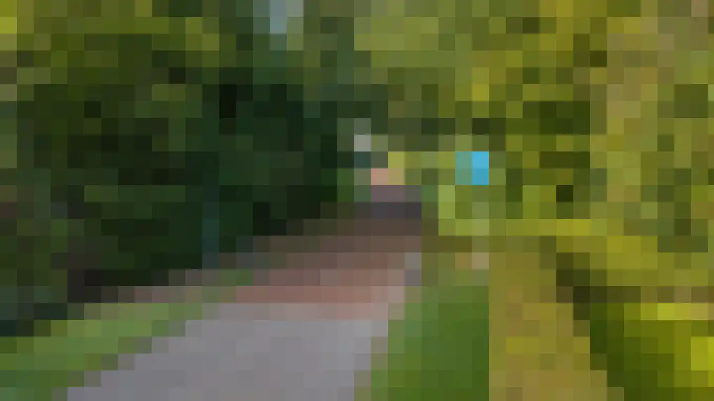 Dikkesteenweg 4 Holten thumbnail 66