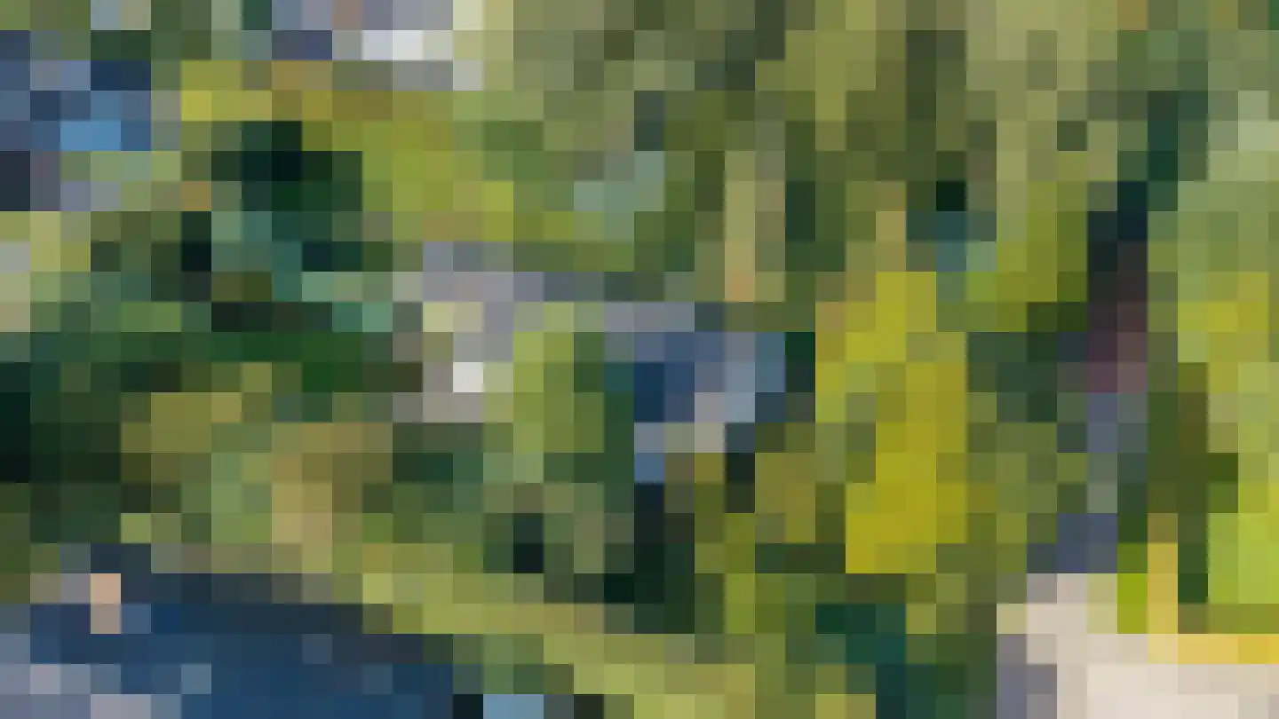 Dikkesteenweg 4 Holten thumbnail 67