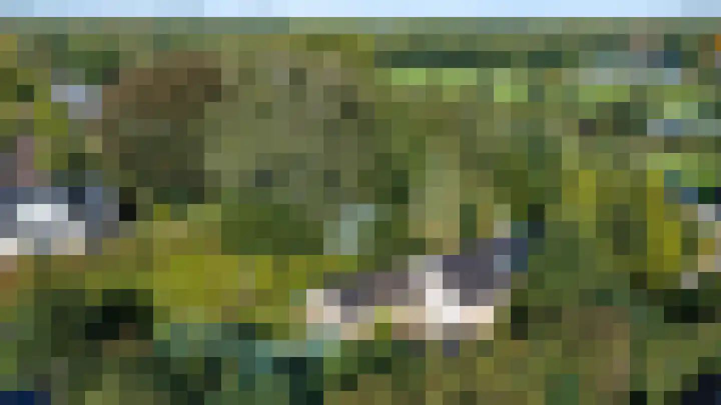 Dikkesteenweg 4 Holten thumbnail 68