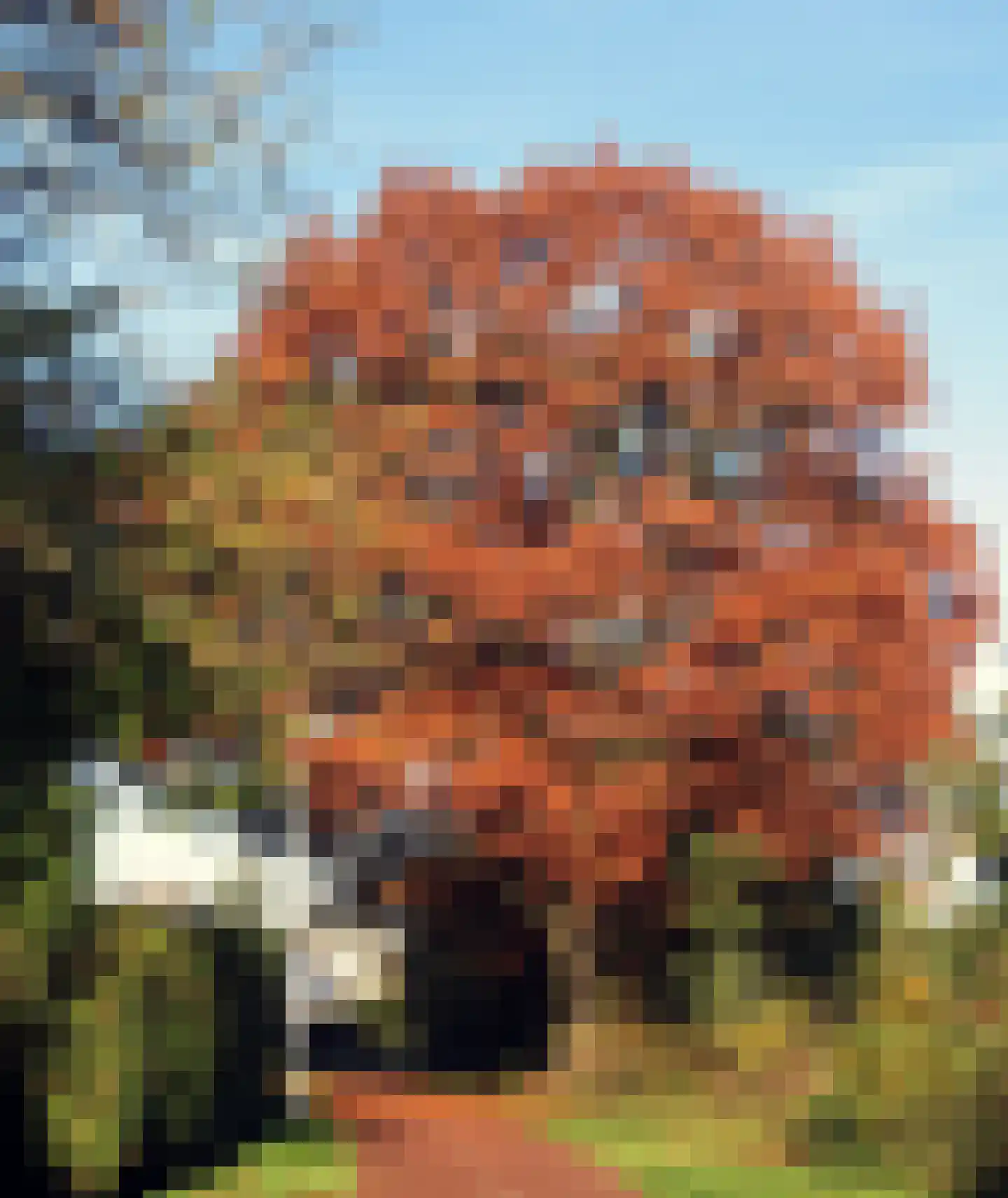 Dikkesteenweg 4 Holten thumbnail 69