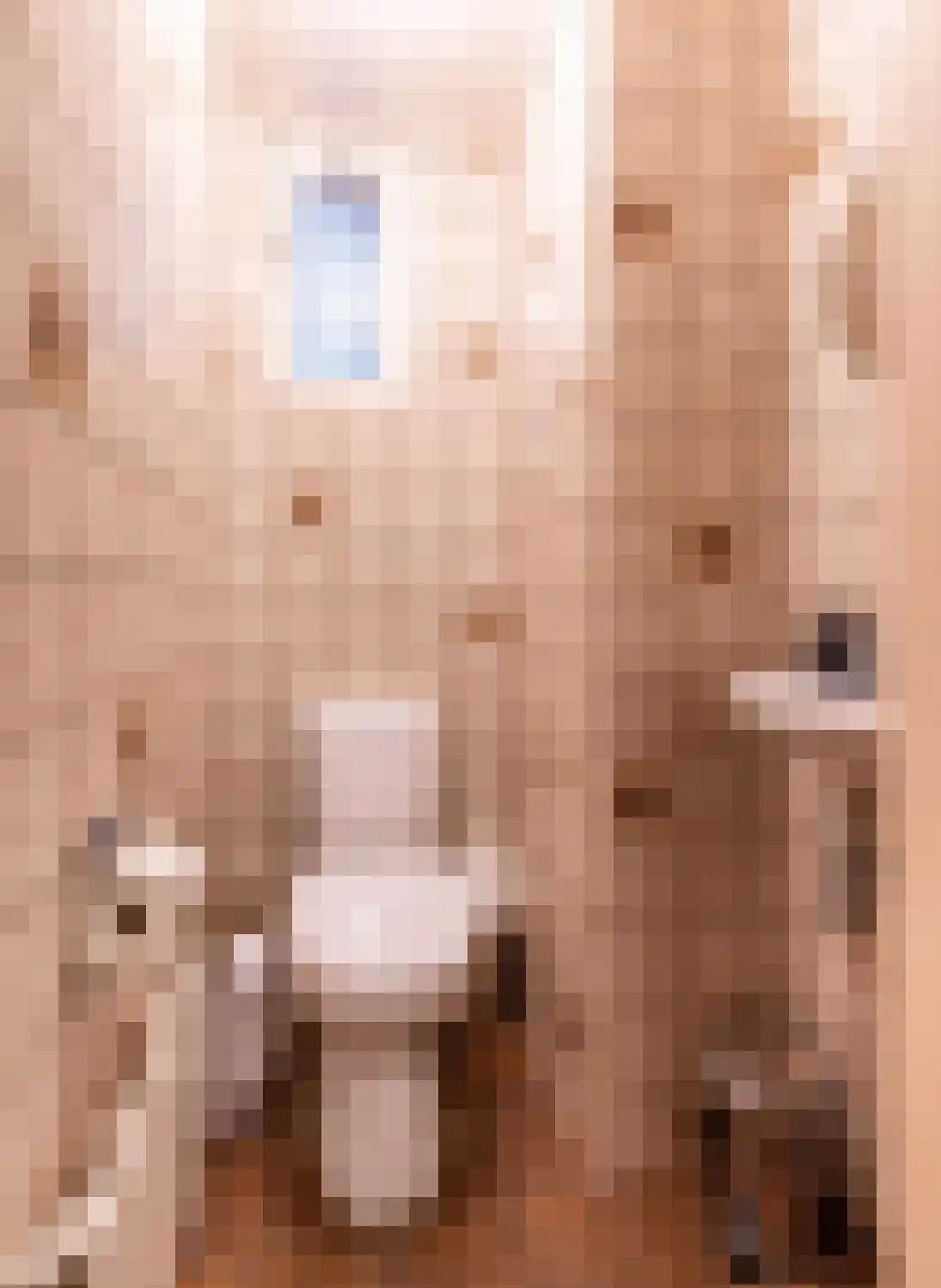 Dikkesteenweg 4 Holten thumbnail 7