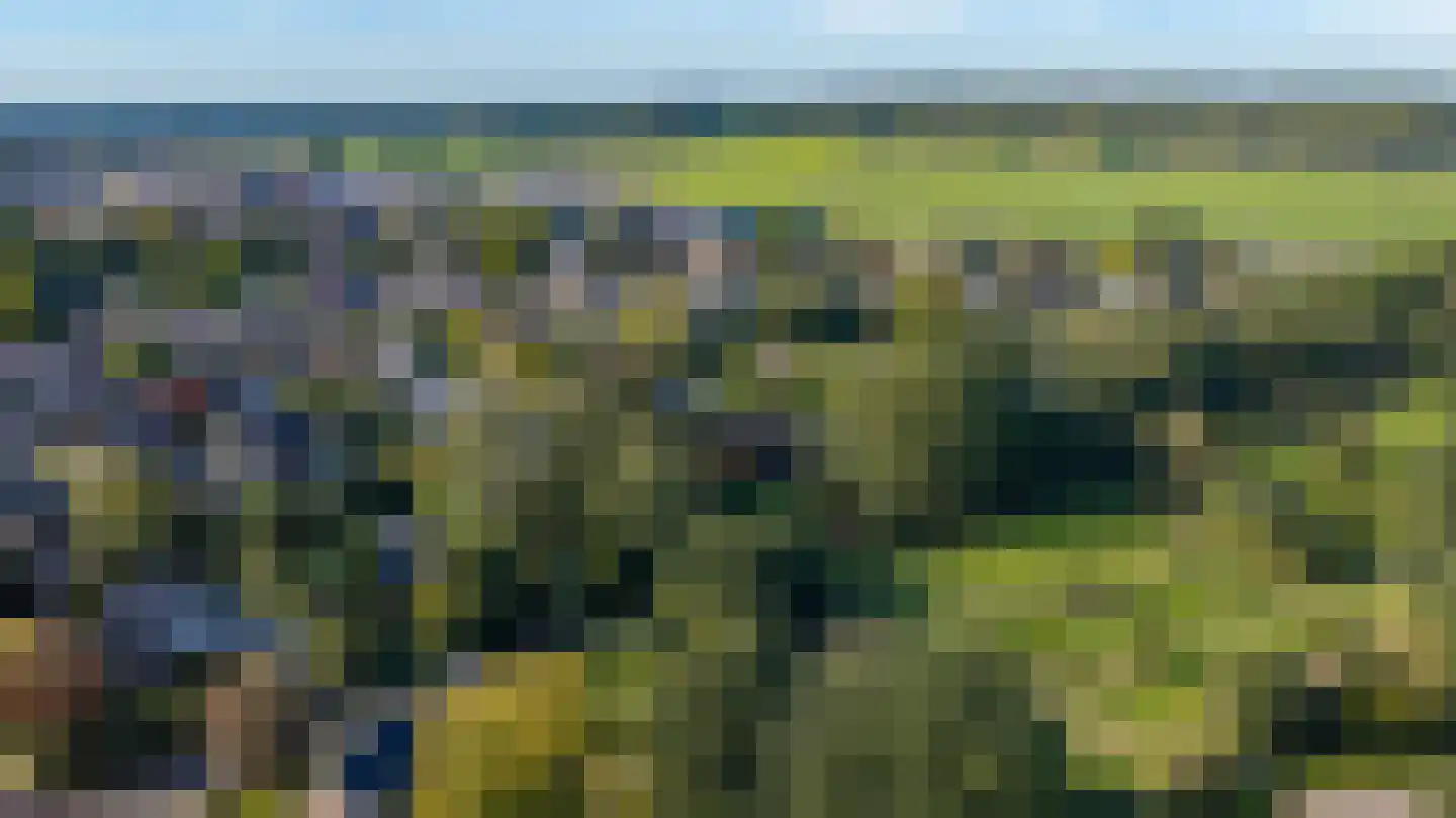 Dikkesteenweg 4 Holten thumbnail 71