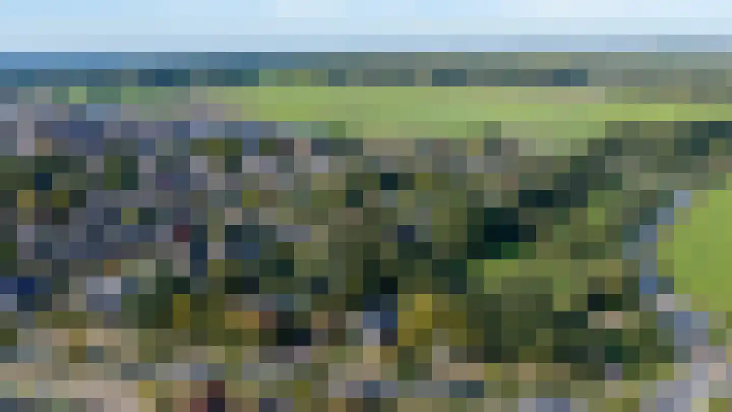 Dikkesteenweg 4 Holten thumbnail 72