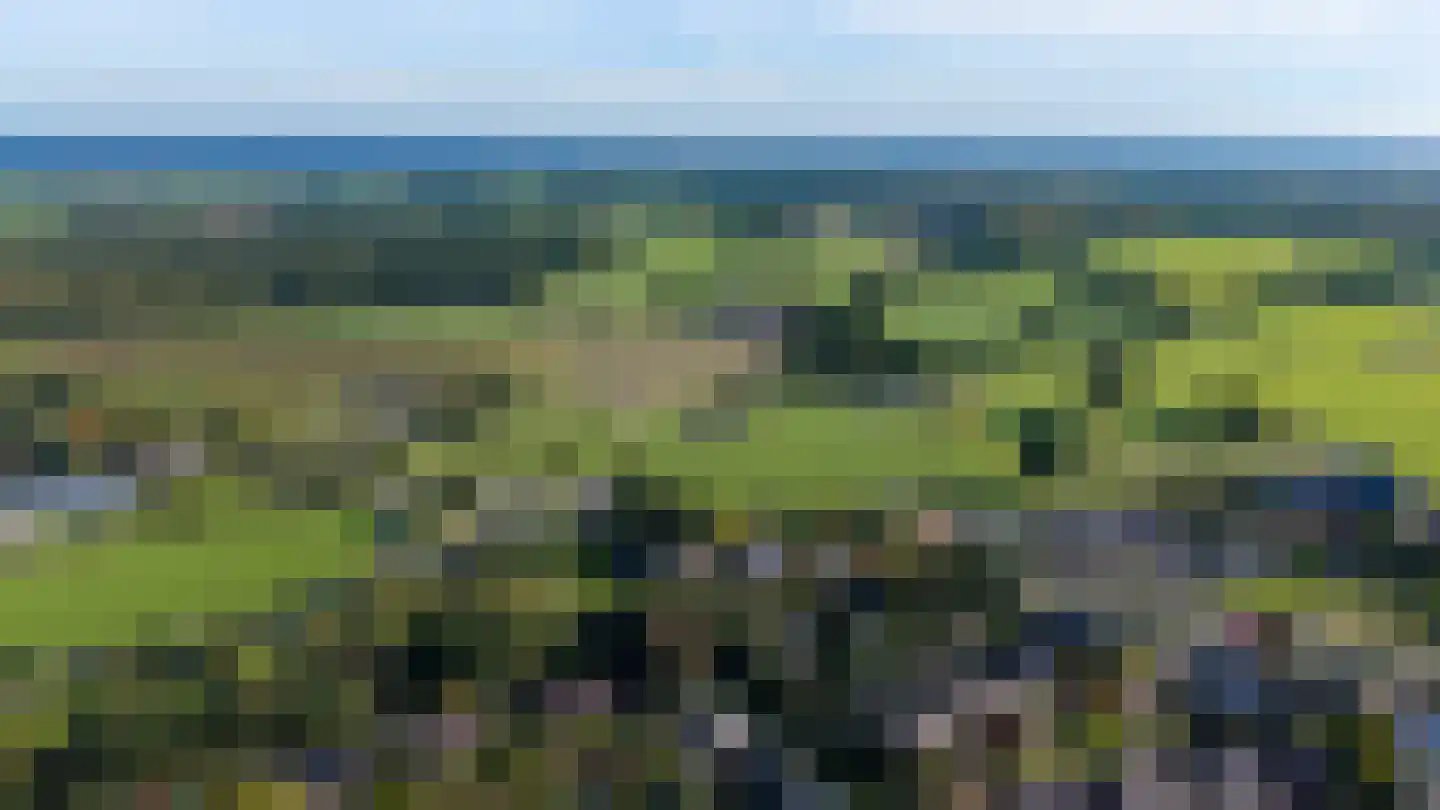 Dikkesteenweg 4 Holten thumbnail 73