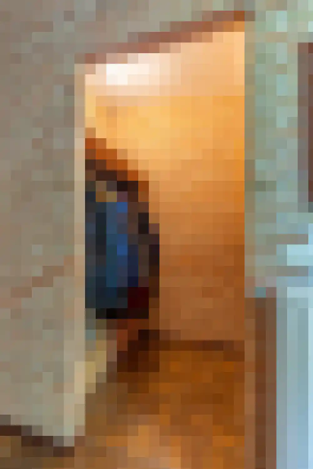 Dikkesteenweg 4 Holten thumbnail 8