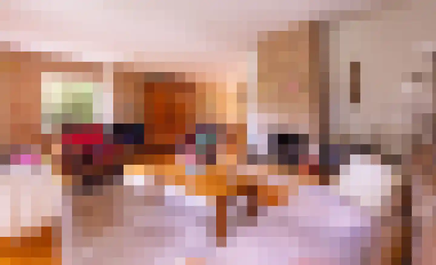 Dikkesteenweg 4 Holten thumbnail 9