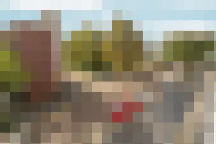 Dikninge 109 Amsterdam thumbnail 10