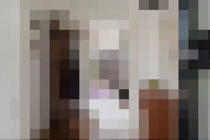 Dikninge 109 Amsterdam thumbnail 13